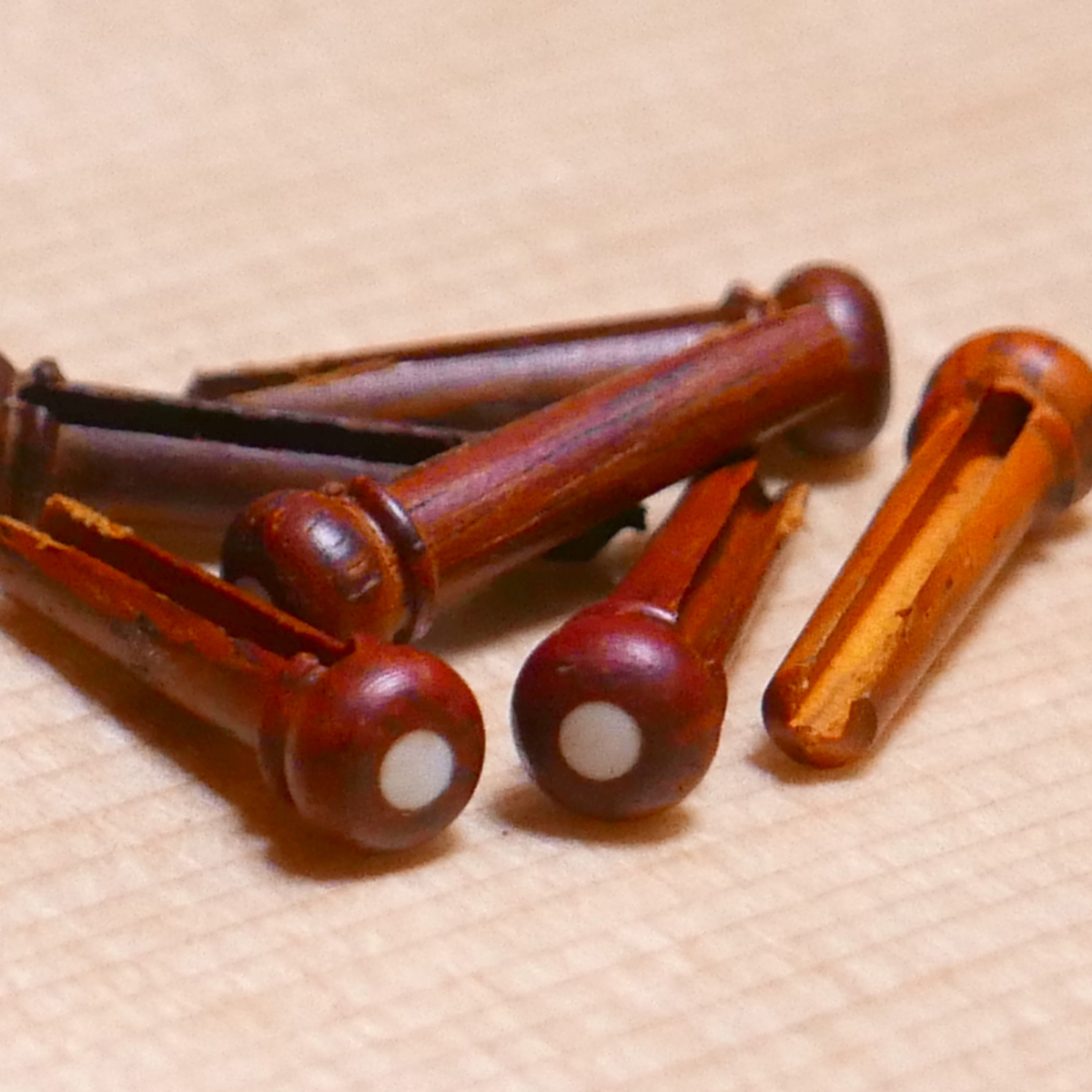 Bridge Pins Nature Cocobolo/Shell Dot [BP-NA CO/SD]の写真