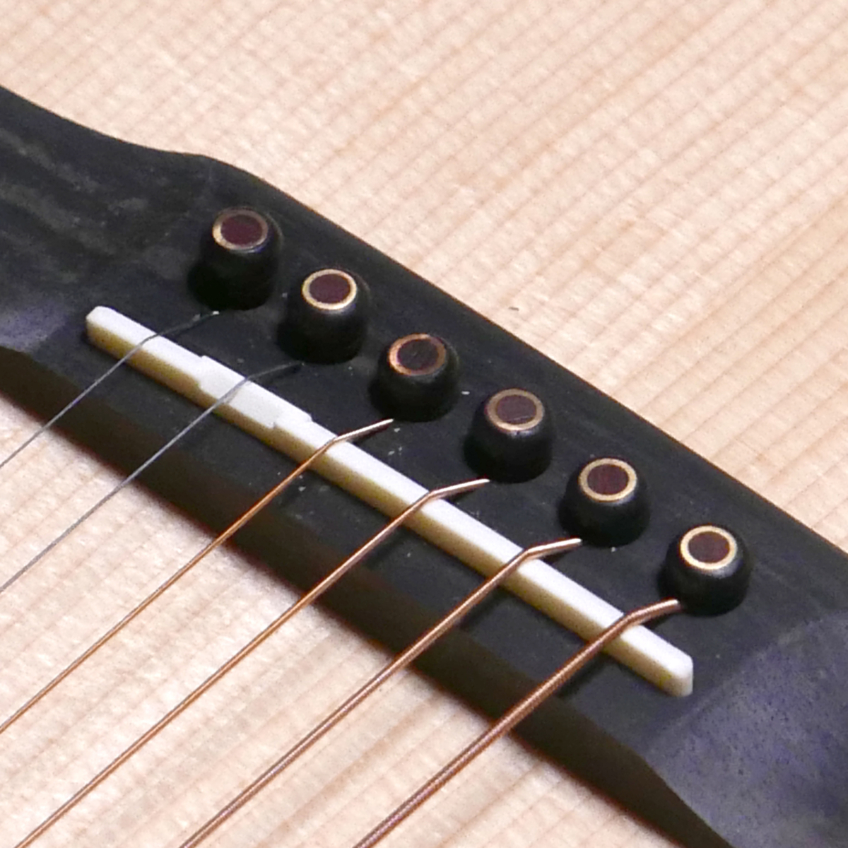 Bridge Pins Nature Ebony/Rose Dot w/Ring [BP-NA EB/RRD]の写真