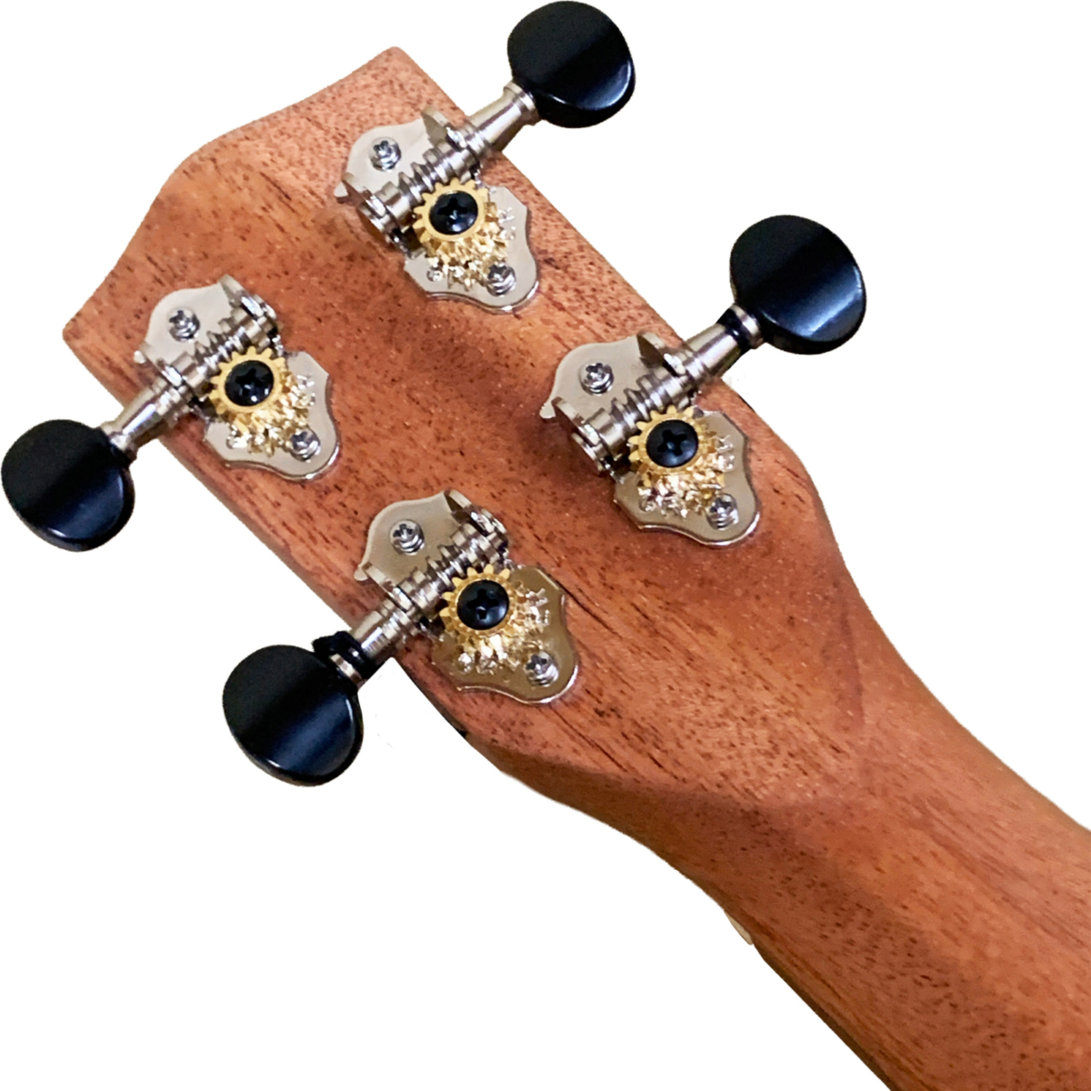 Pono Kalele Series Solid Mangoの写真