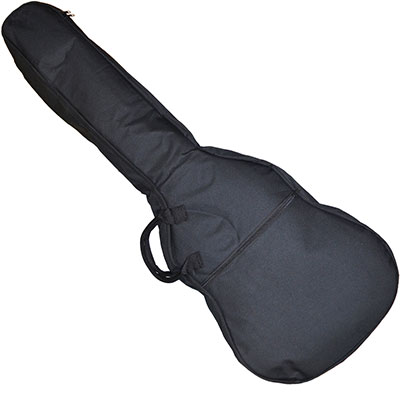 GID ACOUSTIC ECONOMY CASE