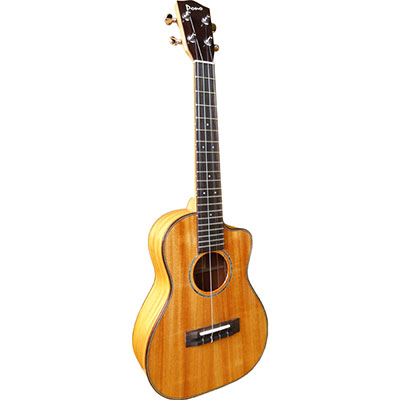 Pro Classic Mahogany Solid Headstock Cutaway