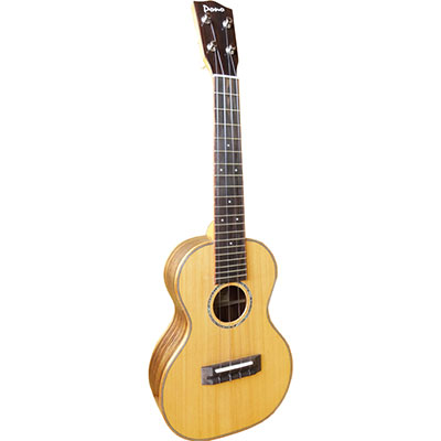 Pro Classic Rosewood Solid Headstock