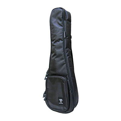 aNueNue GIGBAG Concert