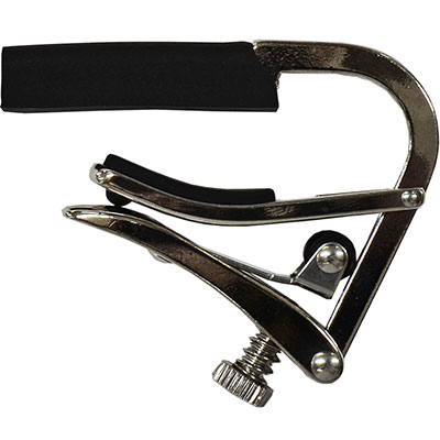 partial capos