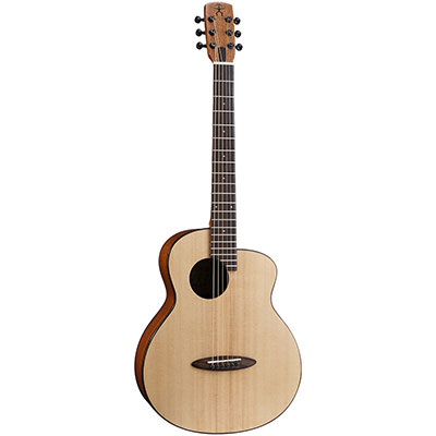 BirdGuitar M_Series_AirBlue-GuitarPickup