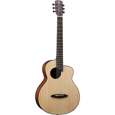 BirdGuitar M_Series_AirBlue-GuitarPickup