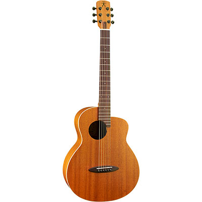 M2 Newborn Bird Electric