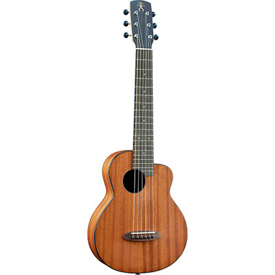 Bird Guitar Series S-Bird