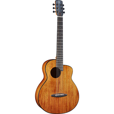 Bird Guitar Series Solid Koa Top