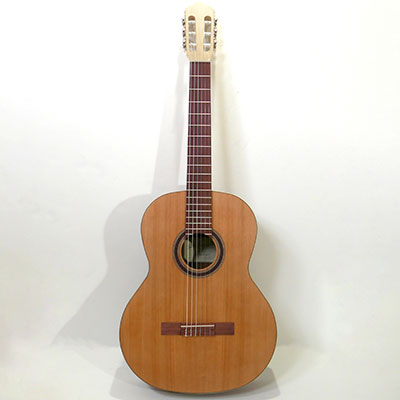 Kremona GREEN GLOBE Classic guitar SOFIA