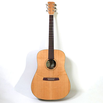 Kremona GREEN GLOBE STEEL STRING