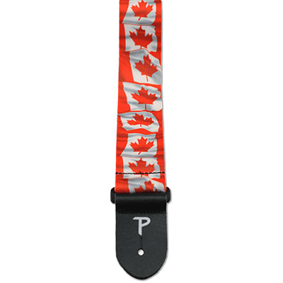 Flag Series Guitar Strap