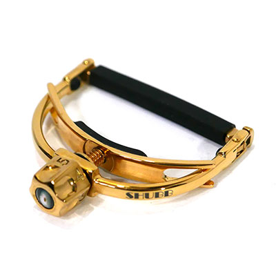 FineTune Royale steel string