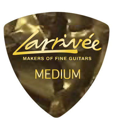Larrivee Japan Limited Accessories Pick