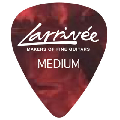 Larrivee Japan Limited Accessories Pick