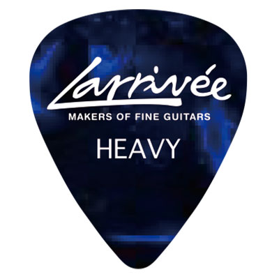 Larrivee Japan Limited Accessories Pick